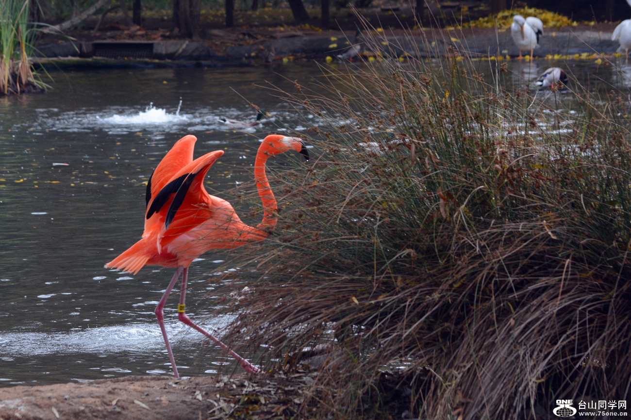 DSC_1227_005.jpg