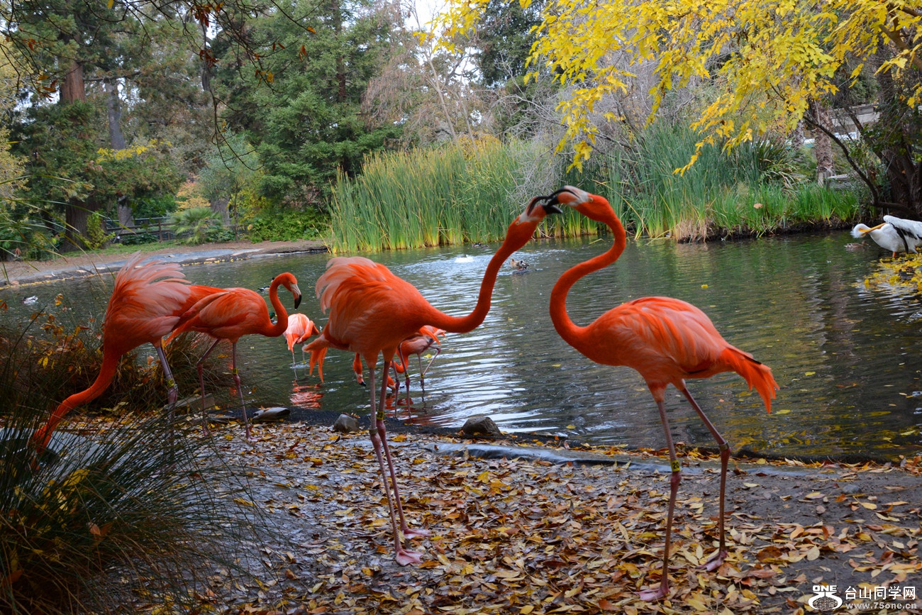DSC_1413_134.jpg