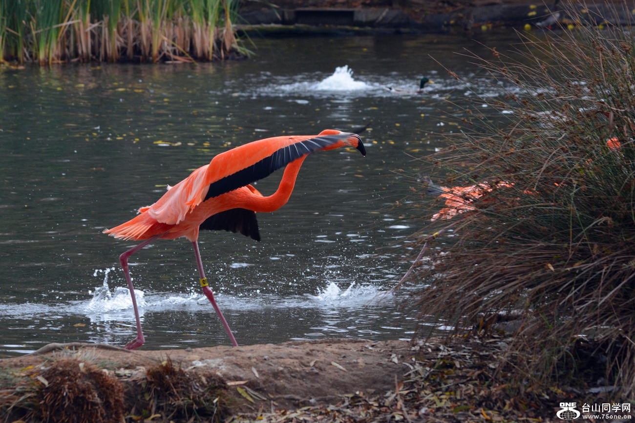 DSC_1224_002.jpg