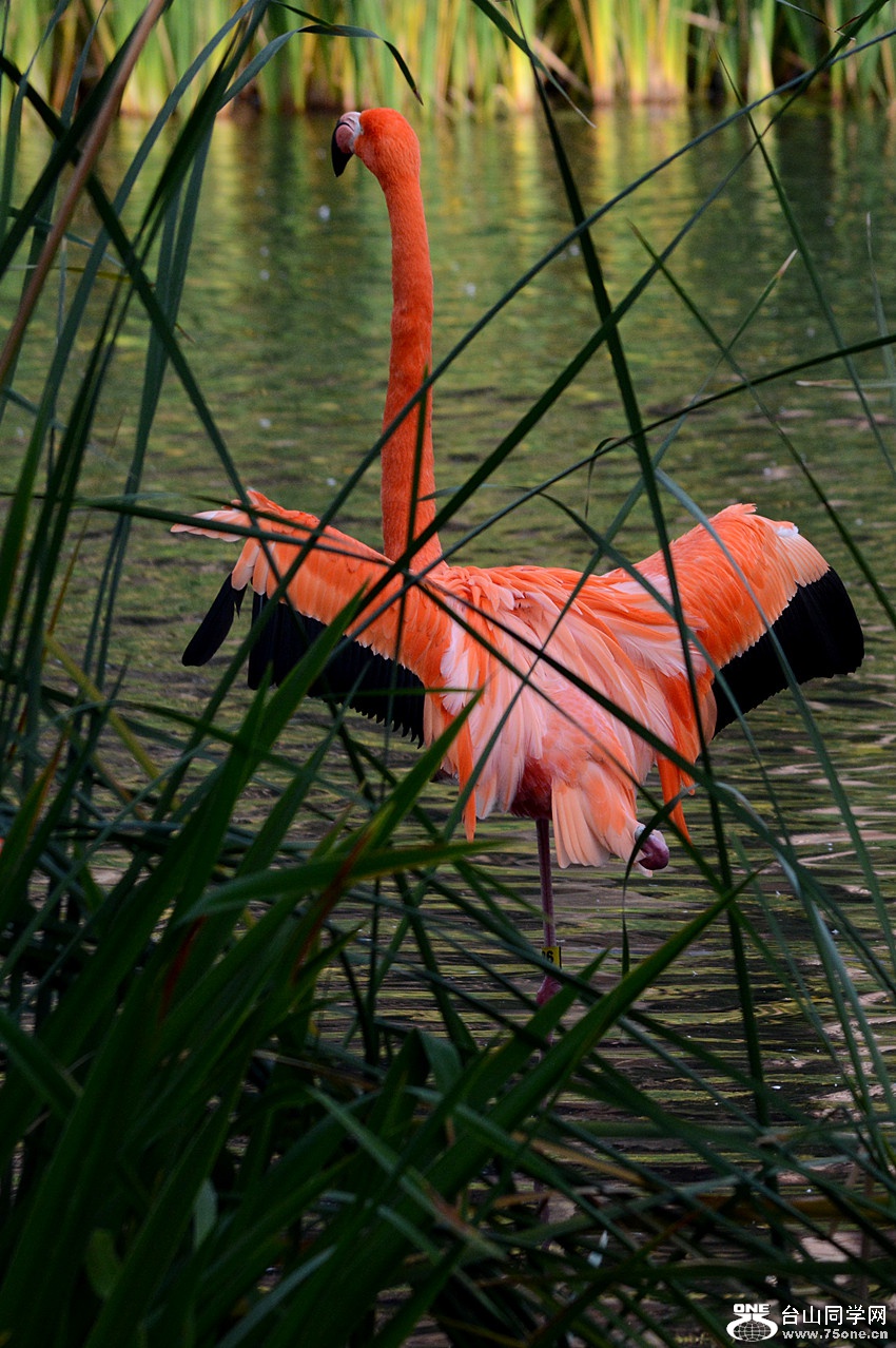 DSC_2028_49.jpg