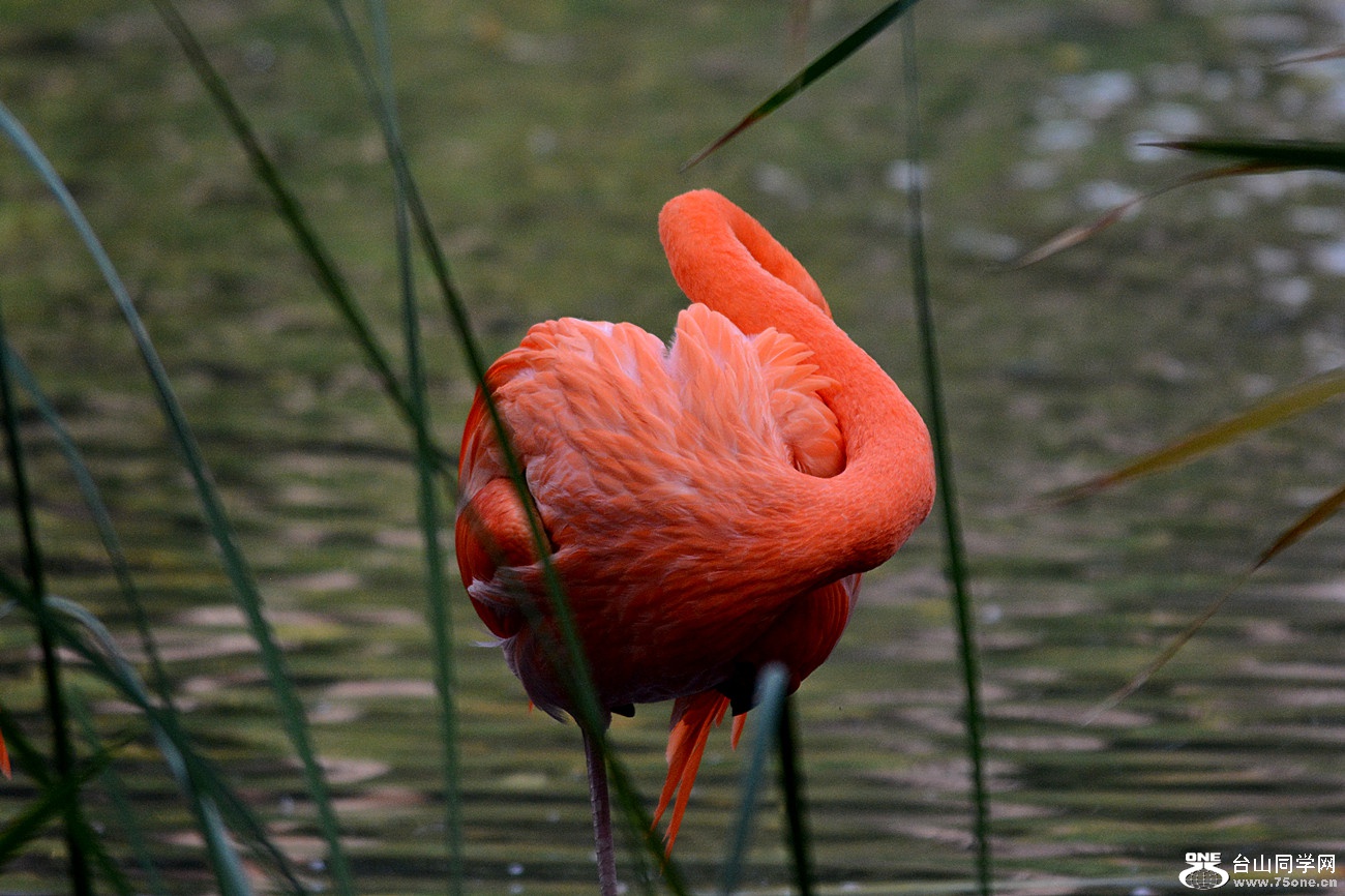 DSC_2025_50.jpg
