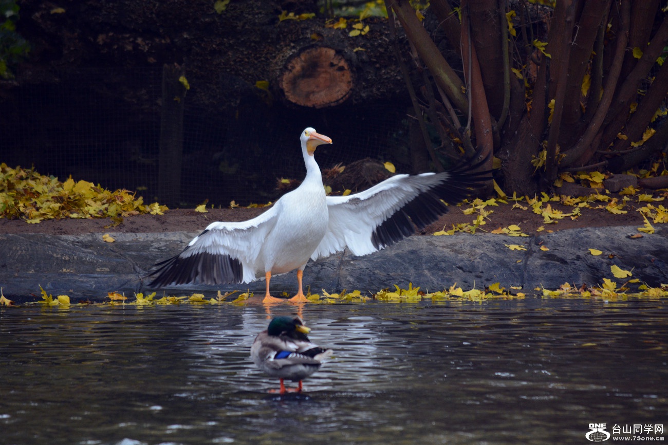 DSC_1127_26.jpg