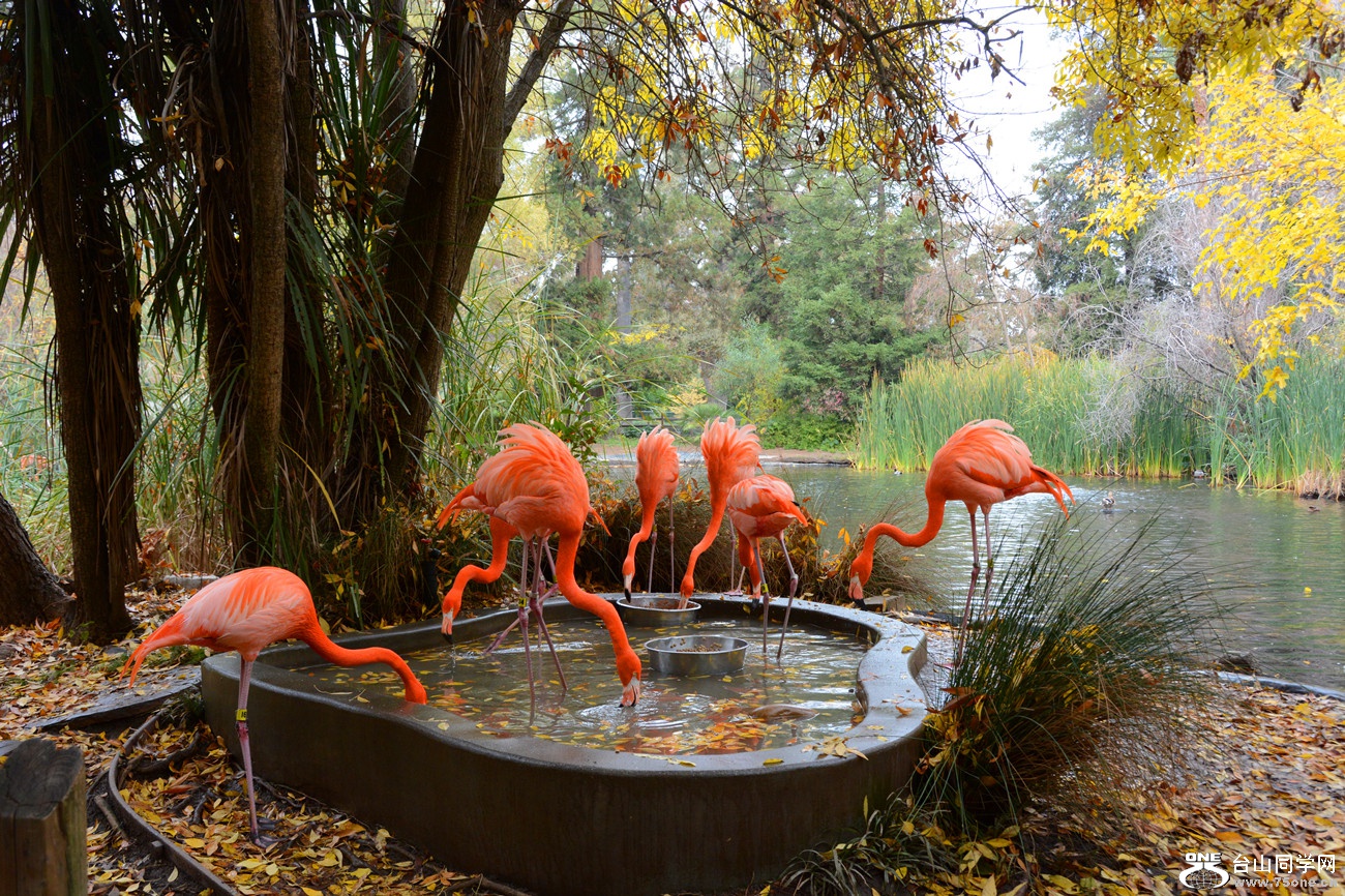 DSC_1420_133.jpg