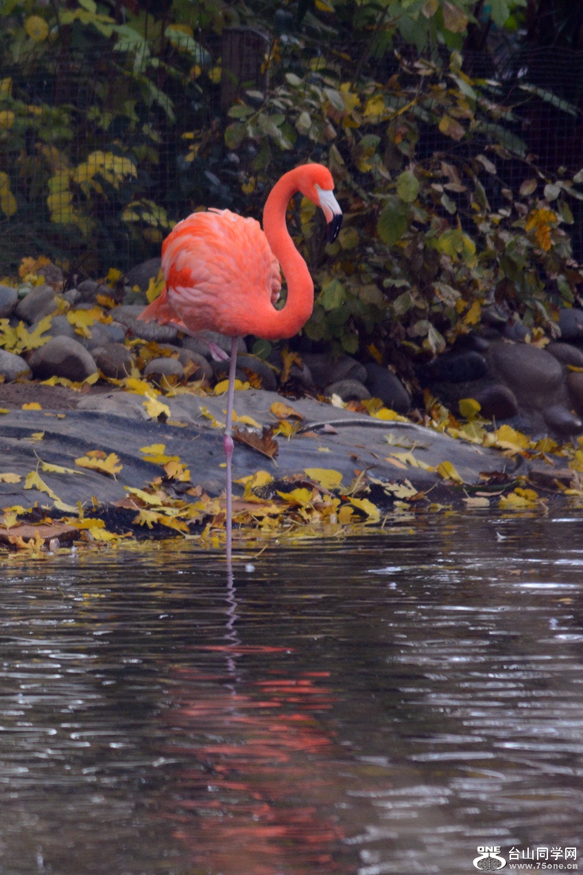 DSC_2087_35.jpg