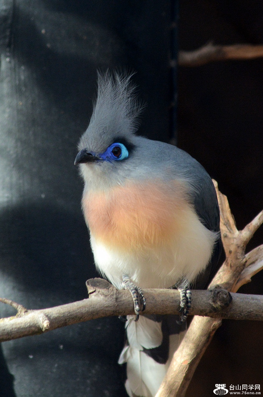 DSC_1833_12.jpg
