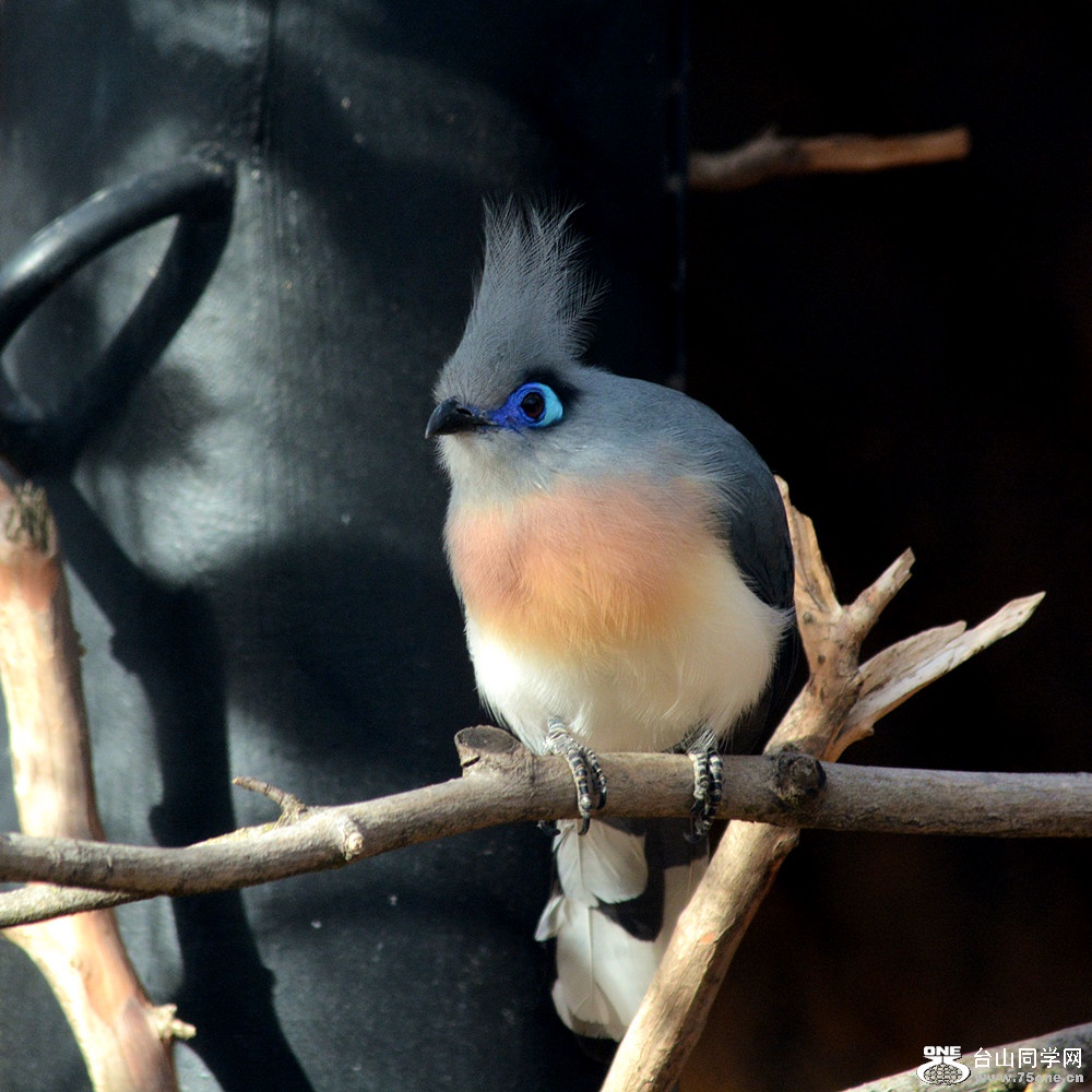 DSC_1834_1.jpg