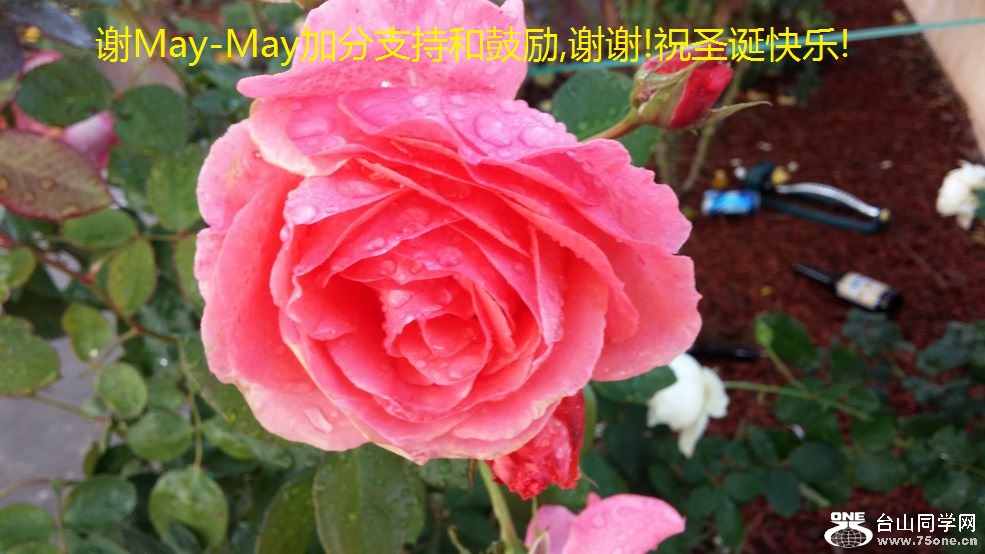 лMay-Mayӷֺ֧͹,лл!ףʥ!.jpg