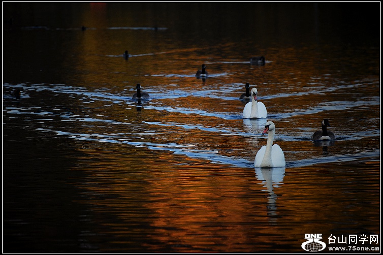 DSC_9620.jpg