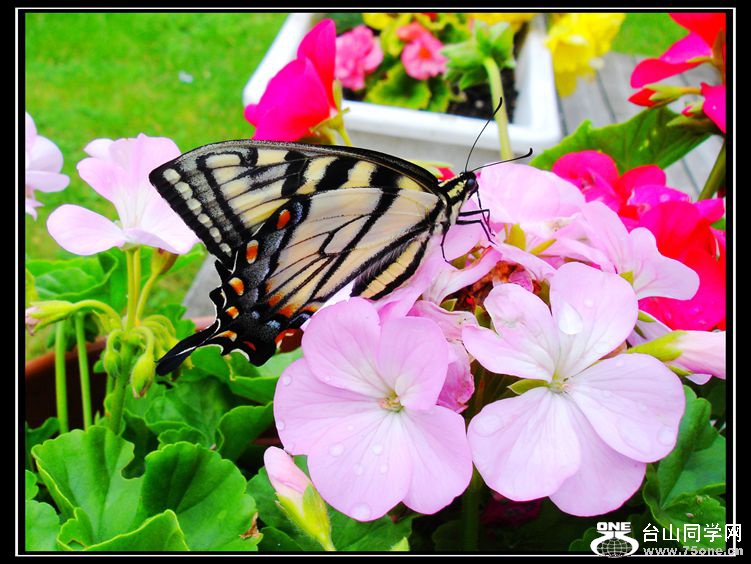 DSC09996_.jpg