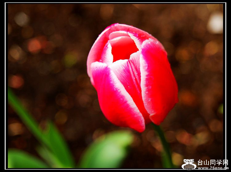 DSC00794_.jpg