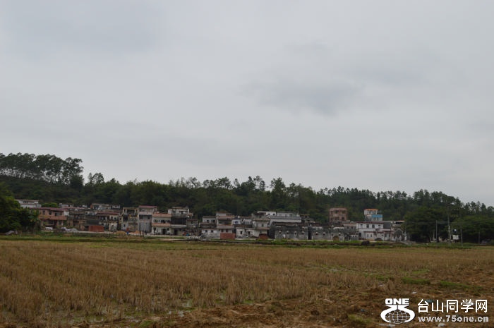 DSC_0470.jpg