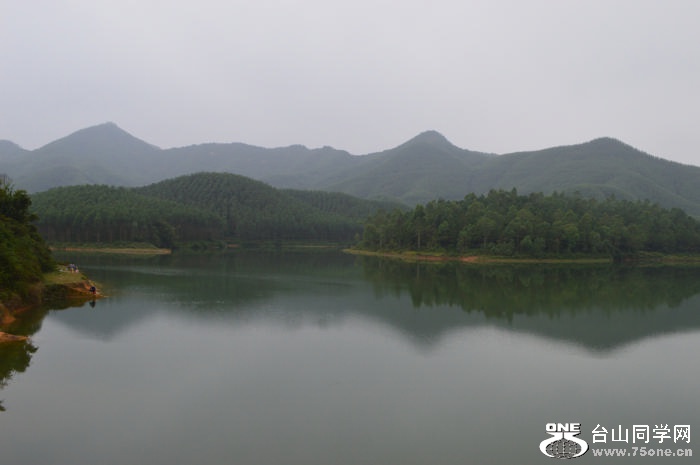 DSC_0346.jpg