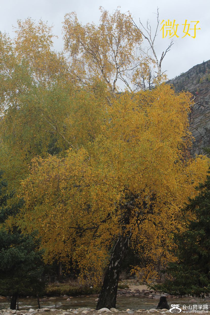 IMG_9207_.jpg