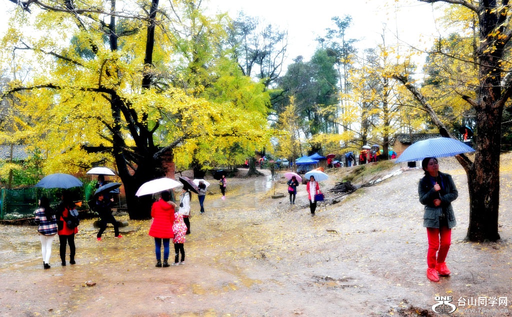 DSC_9428_conew2.jpg