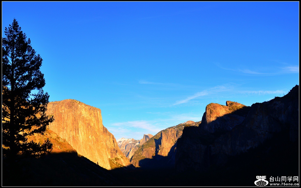 DSC_2005-0.jpg