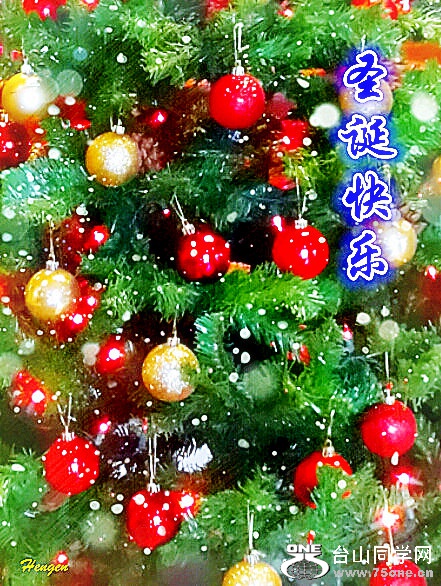 2015-12-18 11.50.55_.jpg