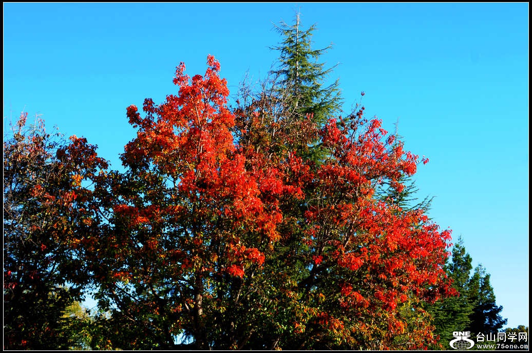 DSC_9410.jpg