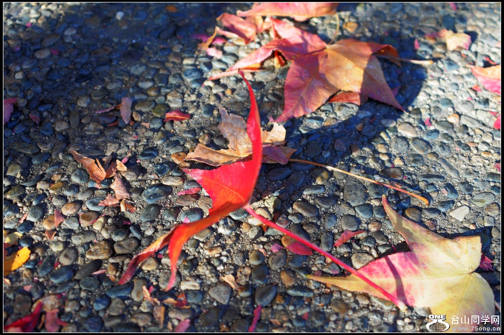 DSC_9404.jpg