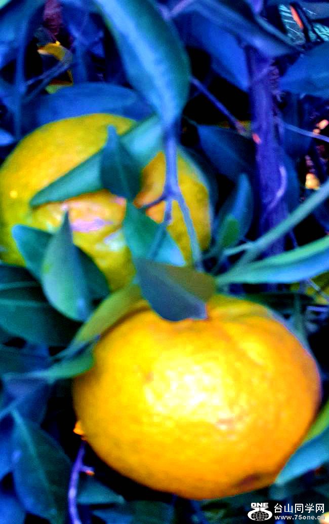 C360_2015-11-27-16-24-02-290.jpg