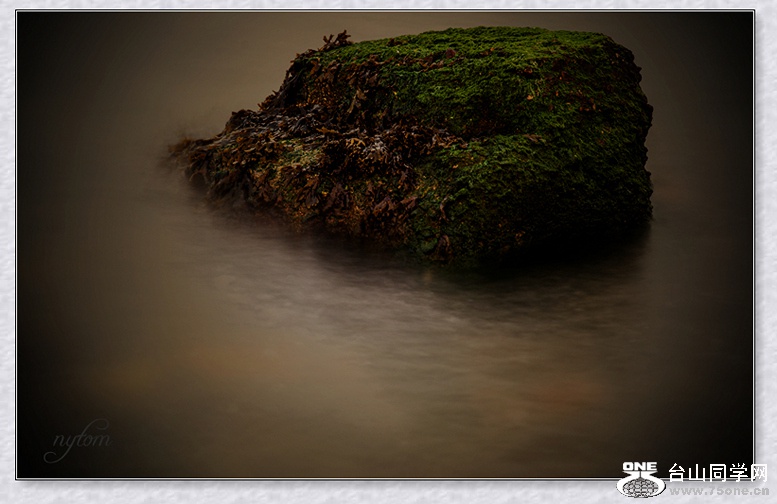 DSC_4797_.jpg
