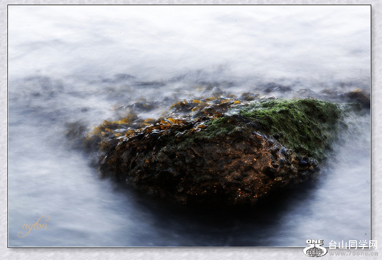 DSC_5021_.jpg