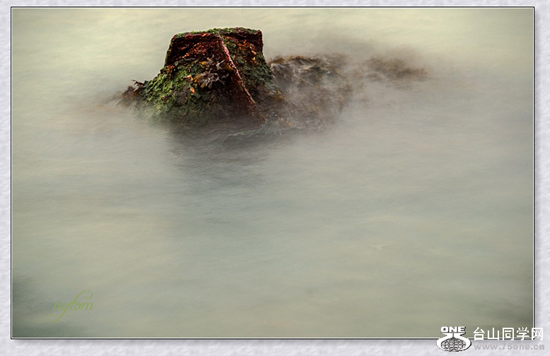 DSC_4809_.jpg
