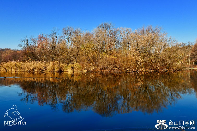 DSC_31576.jpg