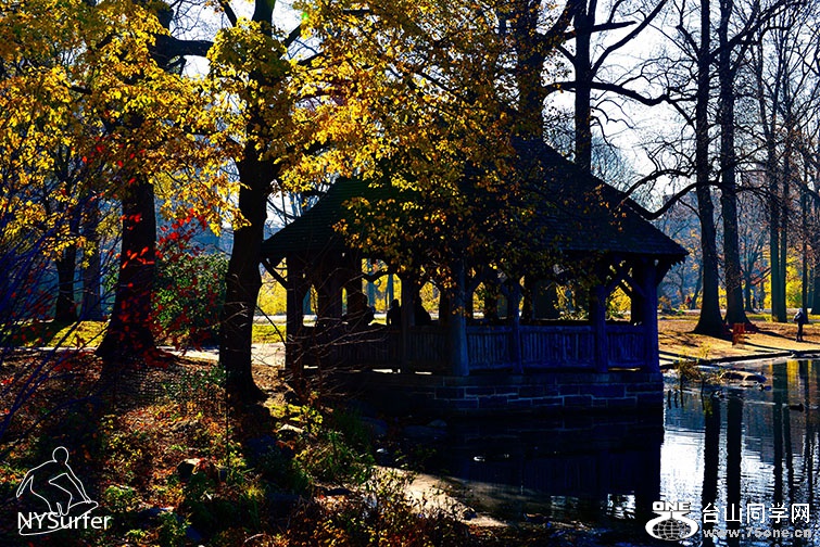 DSC_31588.jpg