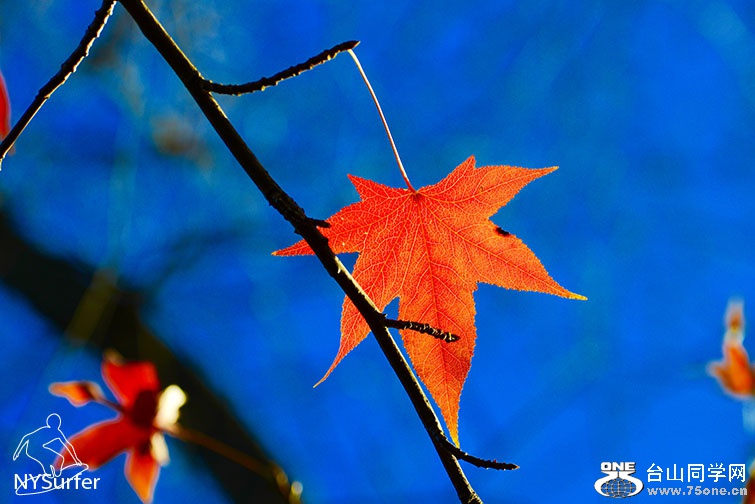DSC_31710.jpg
