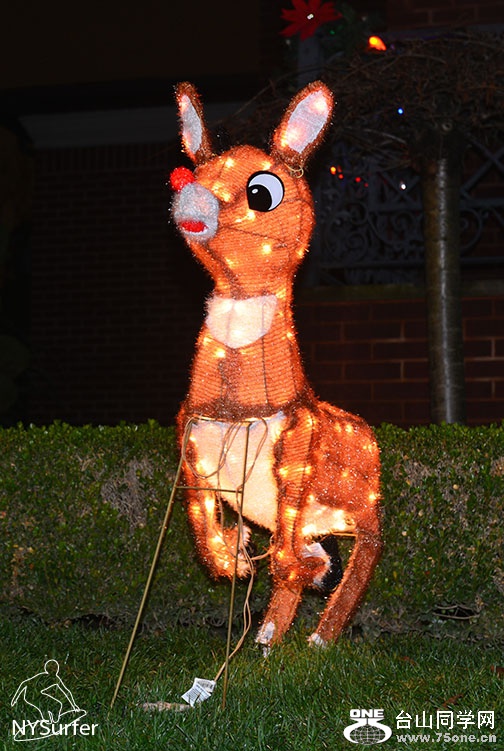 DSC_61974.jpg