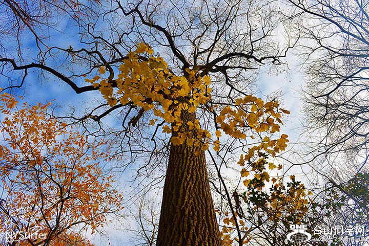DSC_41035.jpg