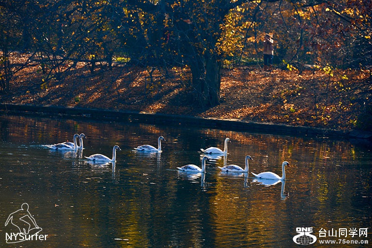 DSC_31738.jpg