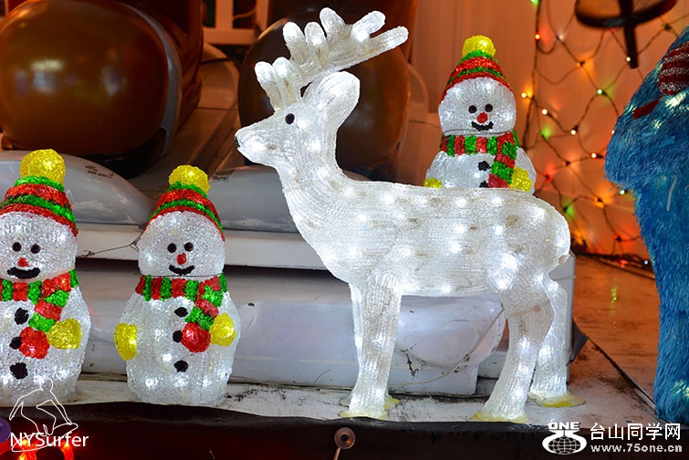 DSC_61337.jpg