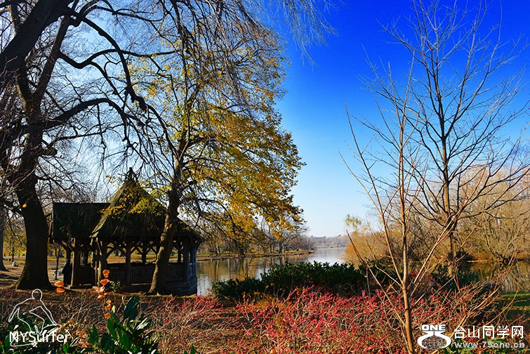 DSC_31586.jpg