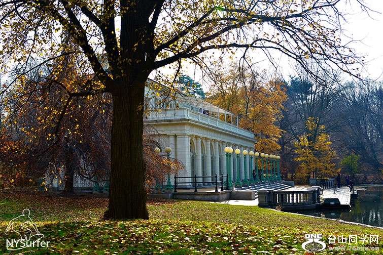DSC_41017.jpg