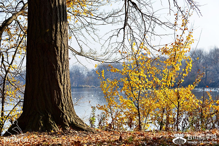 DSC_41824.jpg