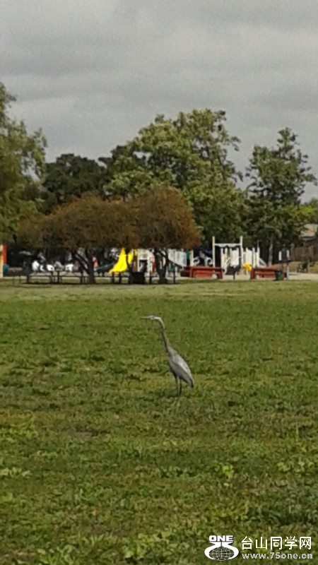 20150425_141728s.jpg