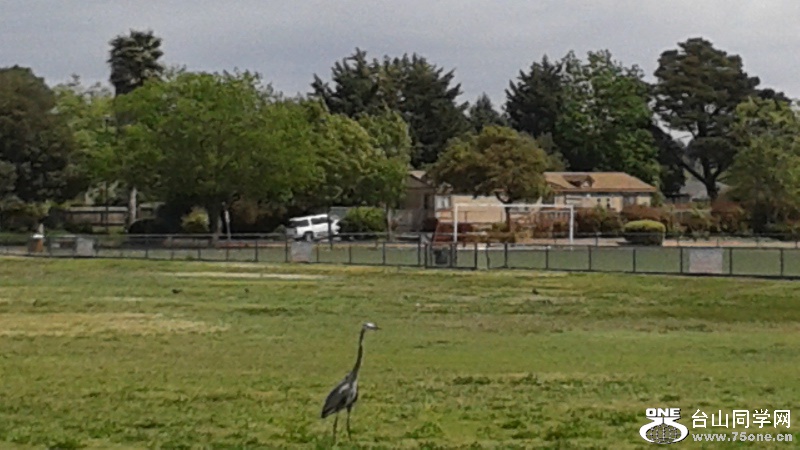 20150425_141856s.jpg