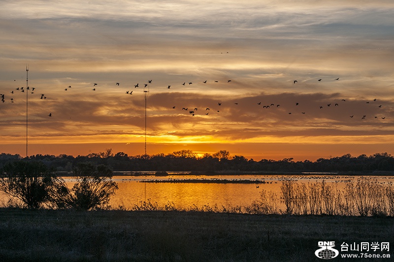 DSC_2559aa.jpg