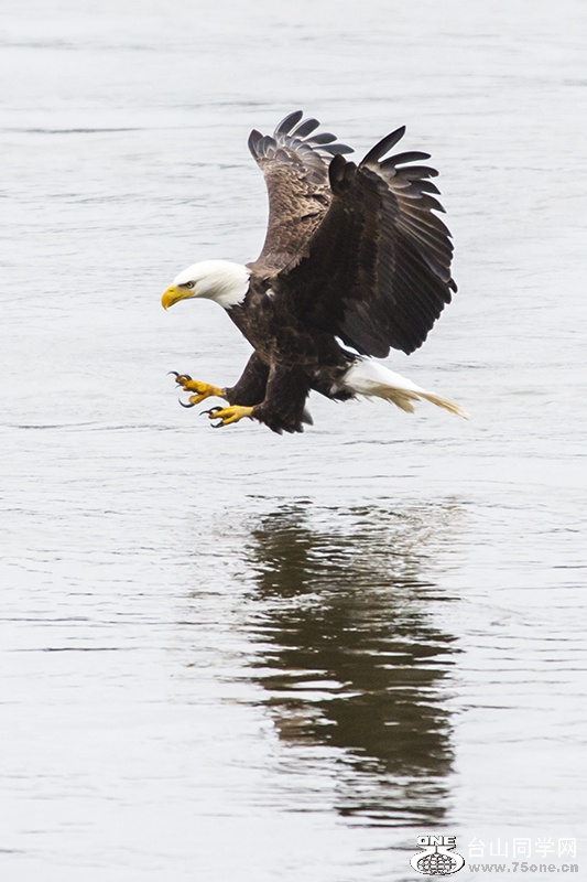 NSH_6868aa.jpg