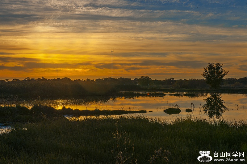 DSC_2420aa.jpg