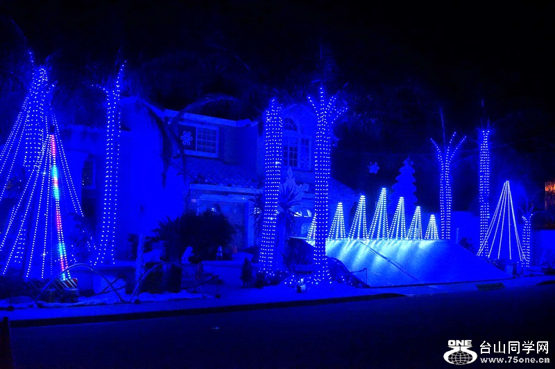 2015_12_25XmasLight_1026.jpg