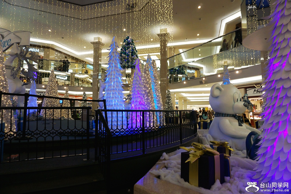 DSC00895.JPG