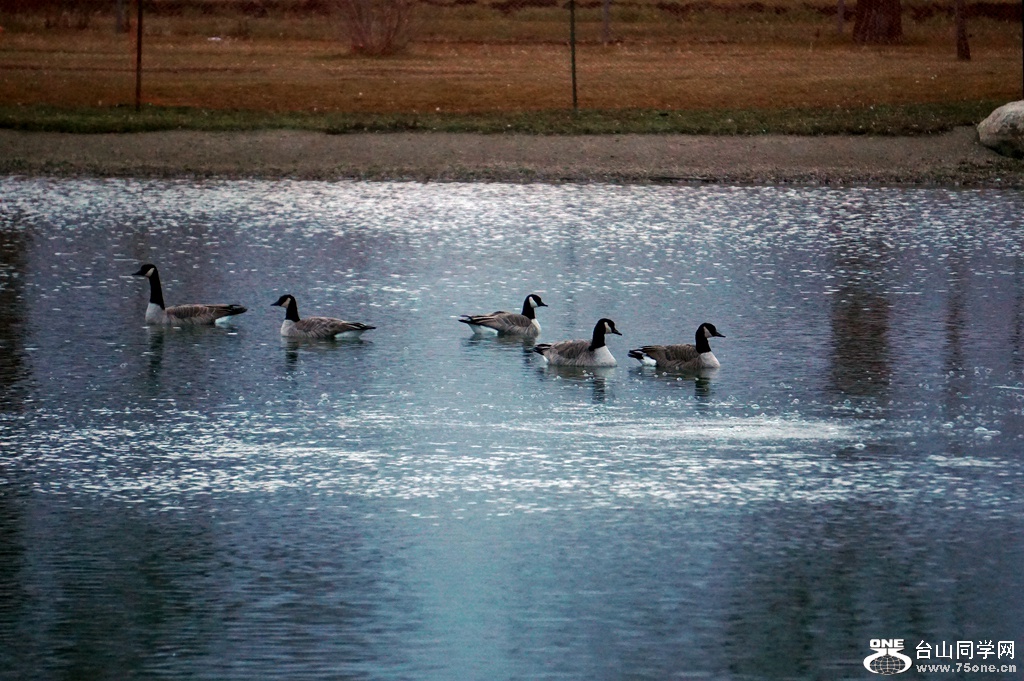 DSC00063.JPG