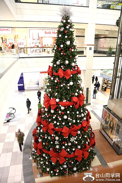 IMG_8444.JPG