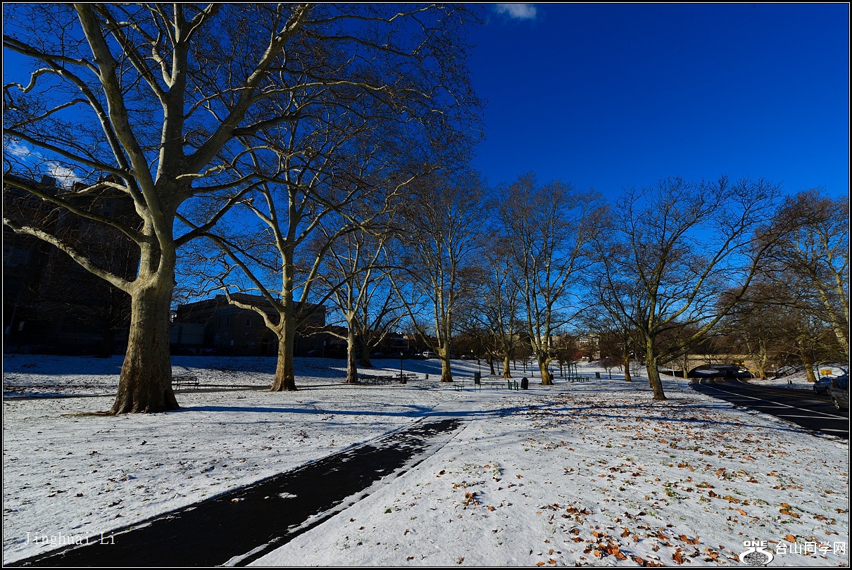DSC_5453.jpg