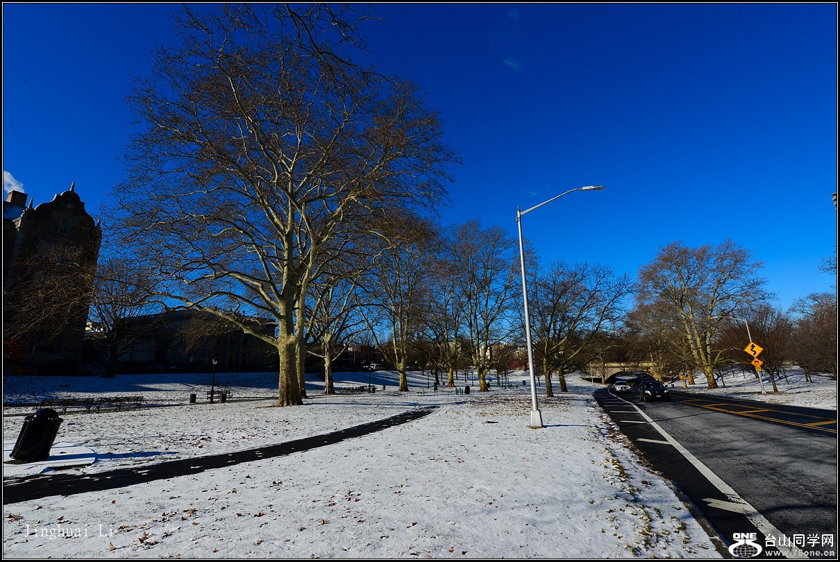 DSC_5452.jpg
