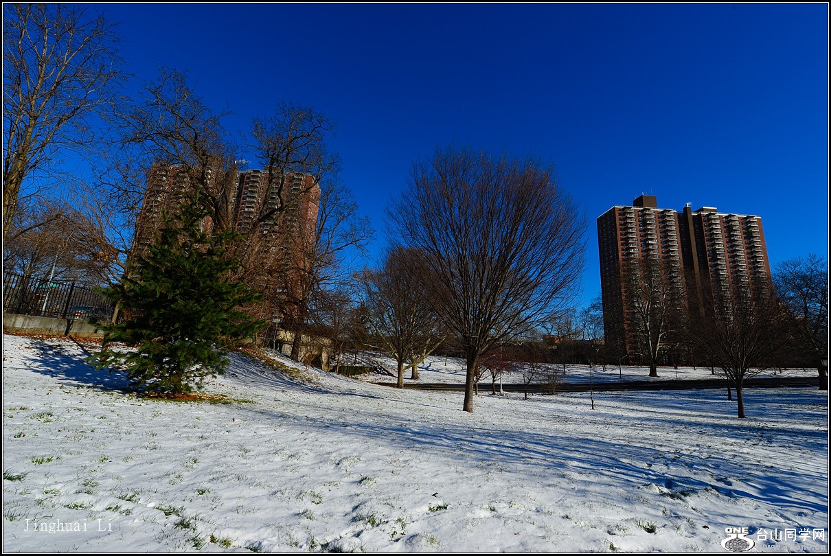DSC_5478.jpg