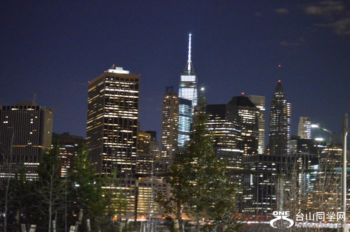 DSC_1184.jpg