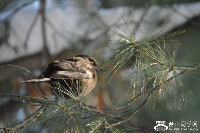 DSC_0381.jpg